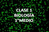 1° Bio   Clase 1   La Célula