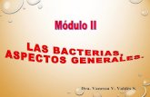 1 bacterias-aspectos generales-i