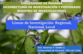 Lineas de investigación regional-nacional y local