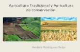 Rodríguez-Seijo, A. (2011) Agricultura tradicional y agricultura de conservación