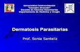 Dermatosis parasitarias. Prof. Sonia Santeliz