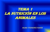 Tema 1 la nutrición en los animales