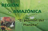 La región amazónica