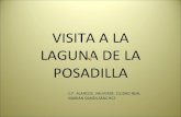 Visita A La Laguna De La Posadilla