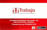 PL creación de Superintendencia Nacional Fiscalizacion Laboral