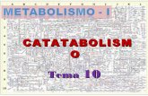 Tema 10 catabolismo-1
