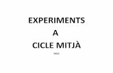experiments cicle mitjà