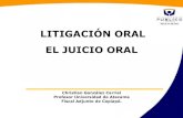 Litigación oral (el juicio oral)