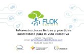 FLOK Society - Presentación flacso 20 marzo