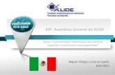 Miguel Villegas (Nafin) - Instrumentos financieros para facilitar negocios e inversiones intrarregionales – Alide 43 (Mendoza, abril 2013)