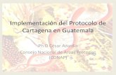 Implementación del protocolo de cartagena en guatemala