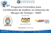 Programa Formativo para  Certificación de Auditor en Sistemas de Riesgos de Trabajo – SART