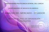 Analisis del Mercado - ECUADOR