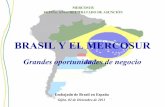 Presentación Brasil I Gijón Jornadas Mercosur