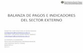 Balanza de pagos e indicadores del sector externo