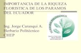 IMPORTANCIA DE LA RIQUEZA FLORISTICA DE LOS PARAMOS DEL ECUADOR