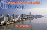 Provincia del guayas deber para el viernes 1230