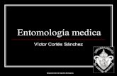 1.  Entomología Médica