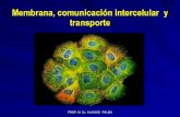 Clase 04 Membrana, comunicación y transporte