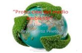 Protecion del medio ambiente