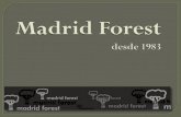 Pergo Flooring- Madrid Forest