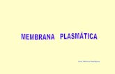 Presentación membrana 2011