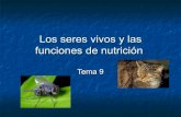 Tema 9 Los Seres Vivos Y Las Funciones De NutricióN