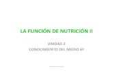 37055082 la-funcion-de-nutricion-ii