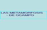 Metamorfosis De Octavio Ocampo