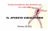 Tema 10 (II) Aparato circulatorio