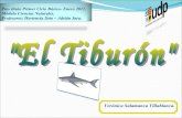 Tiburon final