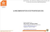Lineamientos estrategicos empresariales, programa MIPES Sena Casanare