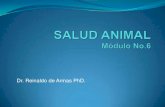 S. Anim. Módulo 6. RELACIÓN DE LA SALUD CON LA PRODUCCION ANIMAL