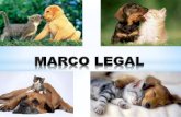 Marco legal 18 abril