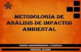 Metodología de análisis de impactos ambiental 2