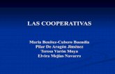 Cooperativas España