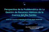 Perspectiva de la Problemática de La Gestión de Recursos Hídricos de la Cuenca del Río Tambo