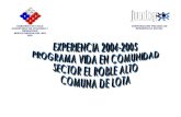 EXPERIENCIA 2004-2005 PROGRAMA VIDA EN COMUNIDAD SECTOR EL ROBLE ALTO COMUNA DE LOTA