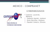 Diapositivas de Mexico-Compranet