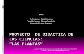 Proyecto  De Didactica De Las Ciencias "LAS PLANTAS"