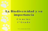 Biodiversidad Y Su Importancia