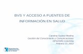 BVS y acceso a fuentes de información en salud