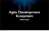 Agile Development Ecosystem