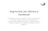 Segmentar per idioma a facebook b2.0