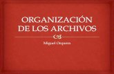 Organización de los archivos en bases de datos