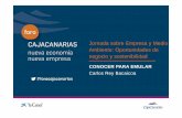 Ponencia de Carlos Rey Bacaicoa en Jornada sobre Empresa y Medio Ambiente: Oportunidades de negocio y Sostenibilidad 11 dic 2012 en Foro CajaCanarias