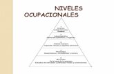 Diapositiva del trabajo de investigacion de nineles ocupacionales yesica