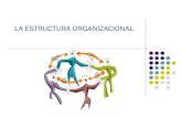 4 estructura organizacional