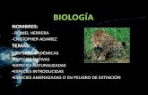 Biología   especies del ecuador