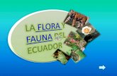 Flora y fauna del ecuador